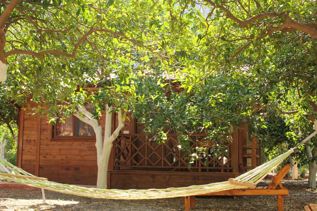 Grand Aygun Hotel Çıralı Chambre photo