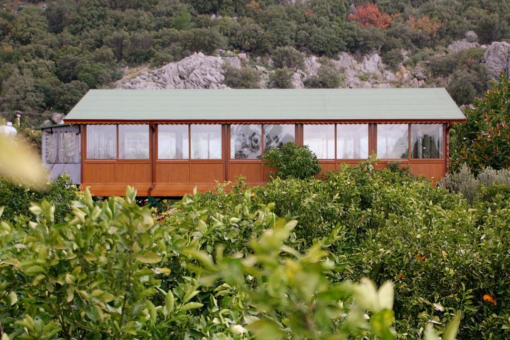 Grand Aygun Hotel Çıralı Extérieur photo